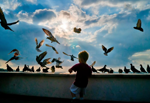 王姓男孩名字2024年属鼠起名 王姓男孩名字2024年鼠宝宝