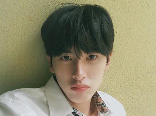 鼠宝宝男孩名字 男孩小名大全2024最新版的鼠宝宝