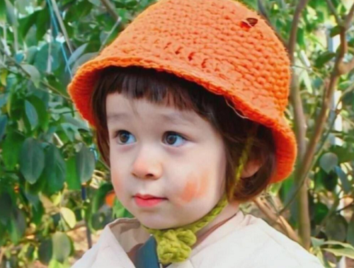 刘姓鼠宝宝取名大全2024款 刘姓鼠宝宝取名大全2024款免费