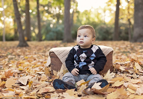 李姓男孩名字大全2024属兔 李姓男孩名字大全2024属兔免费