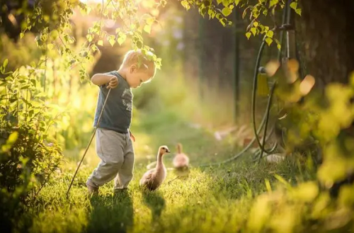 王姓男孩名字2024年属猴起名 王姓男孩名字2024年猴宝宝