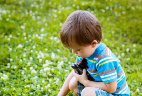 2024年狗宝宝男孩名字免费 2024年狗宝宝男孩名字大全取名