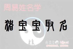 猪宝宝起名男孩苑姓名字