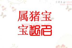 好听的姓袁女孩起名大全2025猪宝宝起名