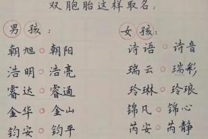 给宝宝起个好名字,猪宝宝起名大全,附带双胞胎起名