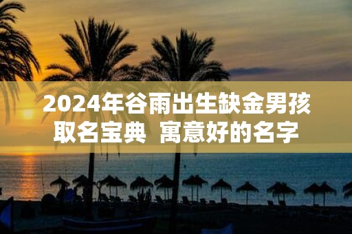 2025年谷雨出生缺金男孩取名宝典 寓意好的名字