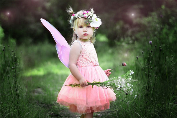 桢取名_桢字适合女孩吗_用桢字给女孩取名好吗