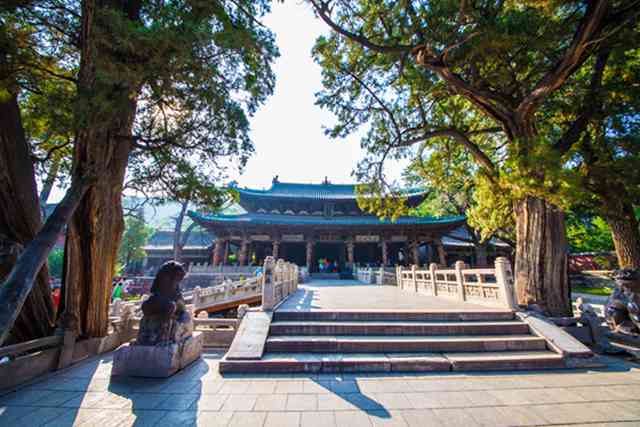 张氏属蛇女宝宝取名大全,张姓女宝宝名字大全2022属虎?