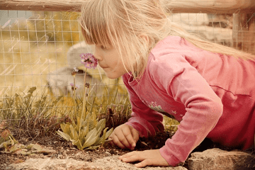 翧字取名的寓意是什么