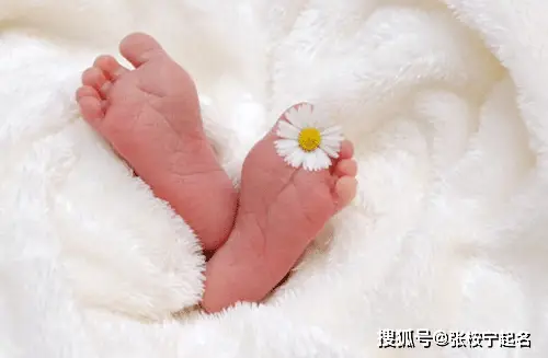 属虎张姓女孩起名_姓张的女宝宝属虎_属虎的张姓小女孩取名字