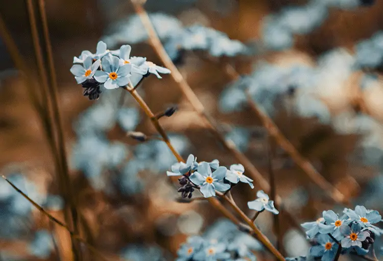 带铮字的女孩名字寓意_铮字女孩最佳组合名字_女孩用铮字取名好不好