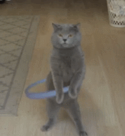 佛山名字排名_佛山名字来历_女孩取名佛山