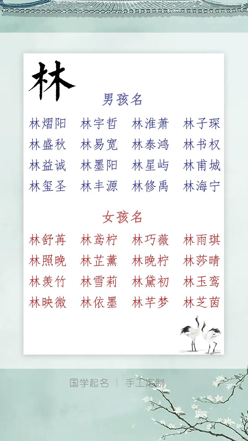 林姓氏男孩取名_取名男孩林姓名字大全_林姓取名男孩