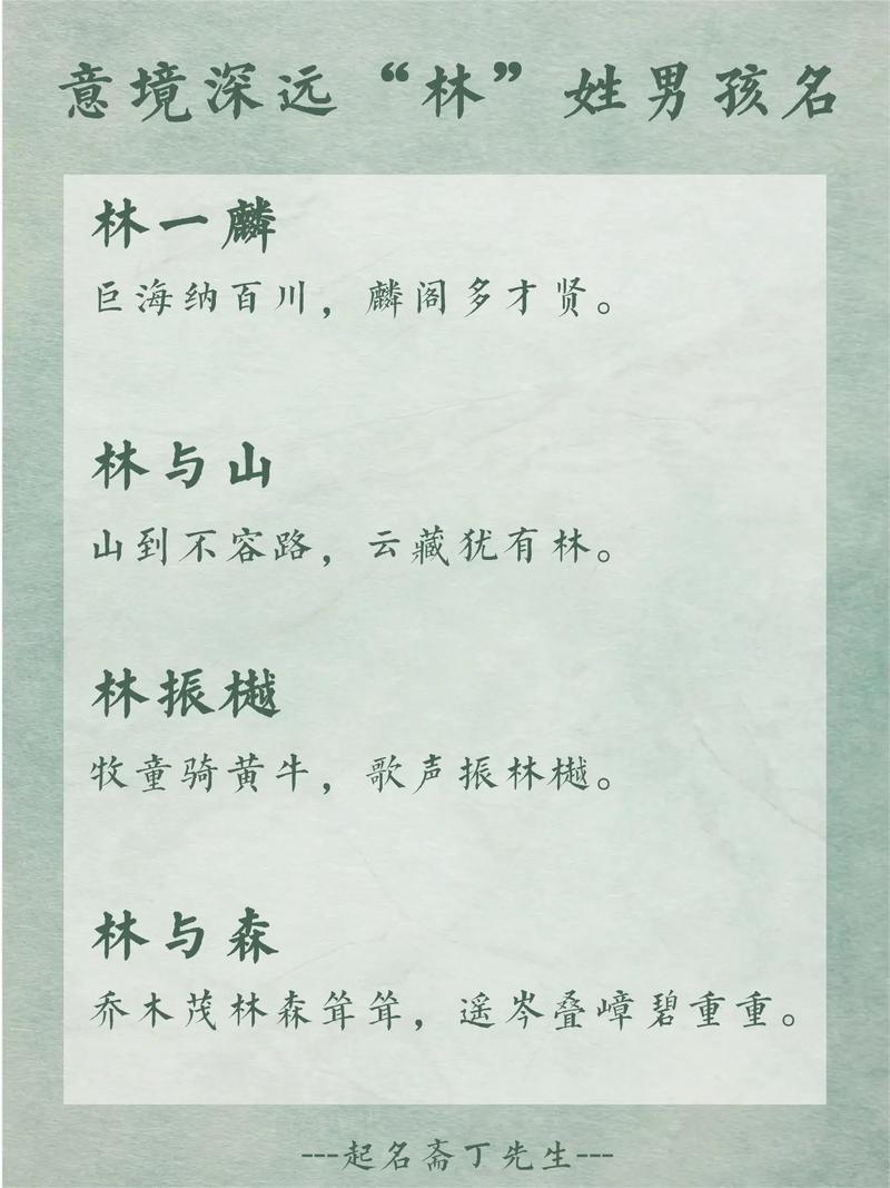 取名男孩林姓名字大全_林姓氏男孩取名_林姓取名男孩