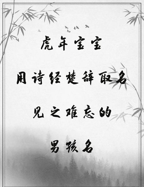 《诗经》命名智慧_吴姓虎宝宝取名女孩大全_虎年宝宝诗经取名