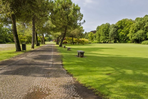 属土寓意好的字_五行属土缺金取名女孩名_五行属土字大全