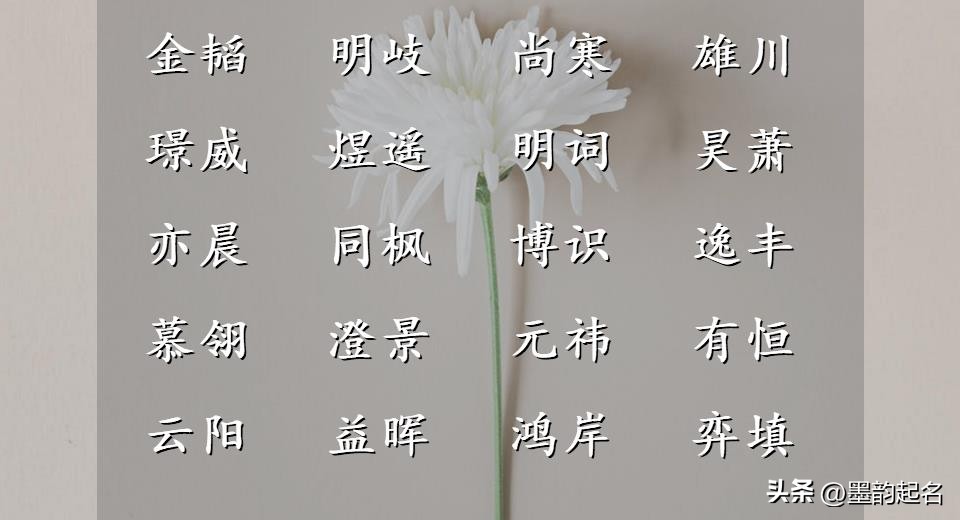 智慧才气女孩名字_带文字女孩取名_文艺女子名字