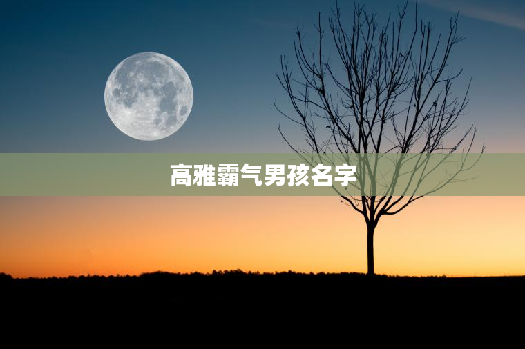 高雅霸气男孩名字 第1张