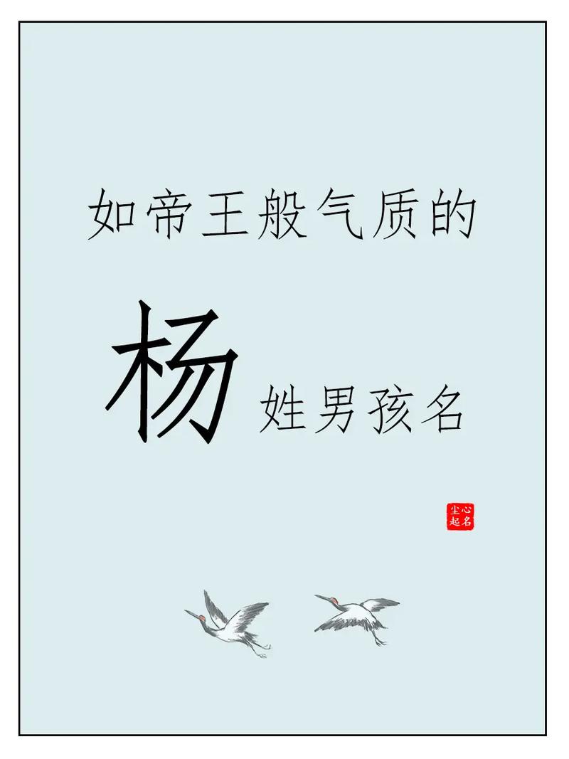 8岁男孩取名姓杨什么_杨姓男孩名字寓意推荐_杨姓好听稀少男孩名字