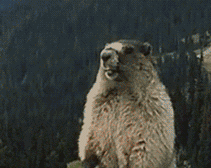 线上学习网名趣事_奇葩男孩取名_奇葩儿童名字盘点