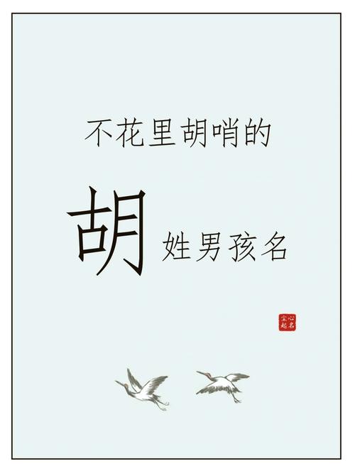 生肖喜用字起名_新生儿起名方法_姓胡男孩取名猪年