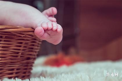 男孩取名朱字旁怎么取名_好听大方名字推荐_姓朱男宝宝起名字大全