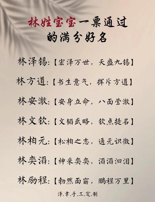 名字取名姓林男孩_林姓男宝宝名字寓意_姓林男宝宝好听的名字大全