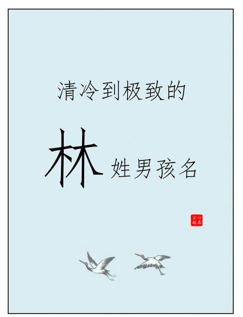 名字取名姓林男孩_林姓男宝宝名字寓意_姓林男宝宝好听的名字大全