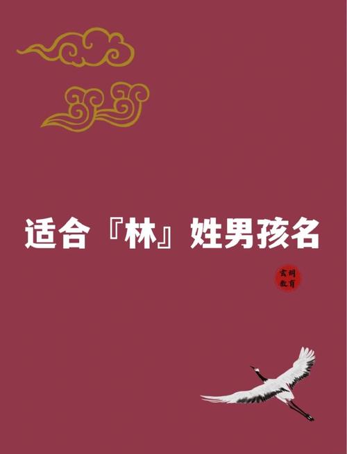 名字取名姓林男孩_姓林男宝宝好听的名字大全_林姓男宝宝名字寓意