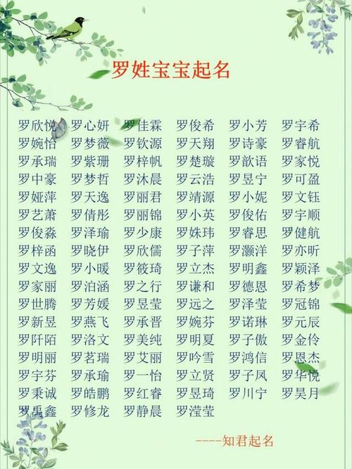 周易女孩取名_带车字根的名字_牛年罗姓女孩取名