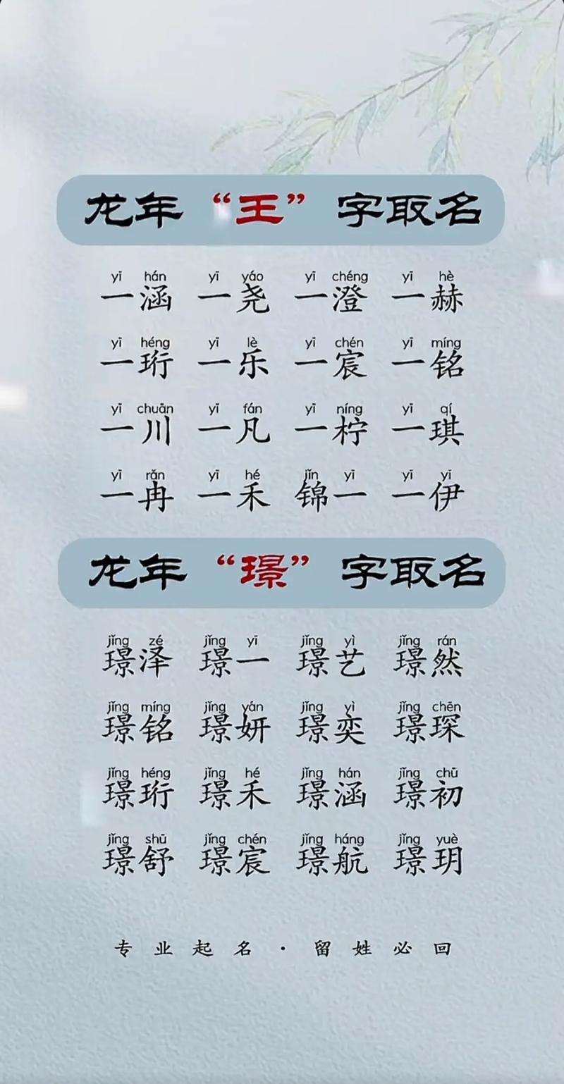 双胞胎男孩起名注意事项_双胞胎男孩名字寓意_金山男孩取名好吗