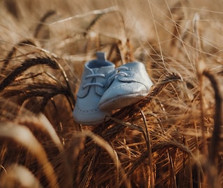 女孩好听的单字名字大全_女孩子单字名字寓意好_锦取名的寓意是什么女孩