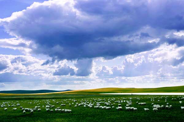 带诗字的女孩名字三个字有哪些 带诗字女孩气质名字