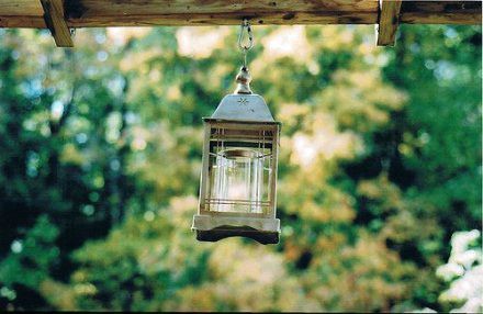 诗经虎年男孩名字精选_虎年男孩取名森林好吗_君琢出自诗经虎年男孩名字