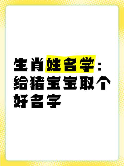 属猪女孩起名最佳用字_1995年属猪女孩取名字_属猪的女孩怎么取名字好