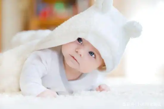 虎年出生男孩取名技巧_虎年男孩取名森林好吗_虎宝宝名字寓意