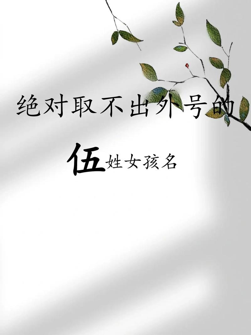 但姓取名男孩_男孩姓伍怎么取名字好源自古诗词_男孩姓伍怎么取名字好带字意剖析