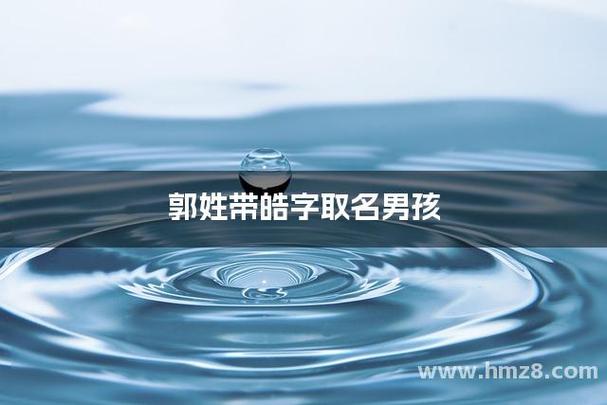 皓字男孩名字大全_男孩名字用皓字取名_姓蒋的男孩用皓字取名字