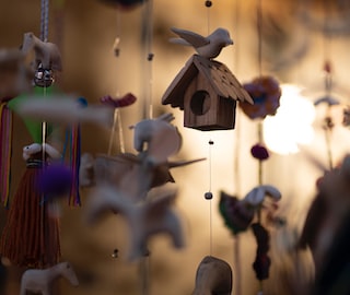 虎宝宝最佳字取名_属虎女宝宝取名推荐_女孩取名用汉字好吗属虎