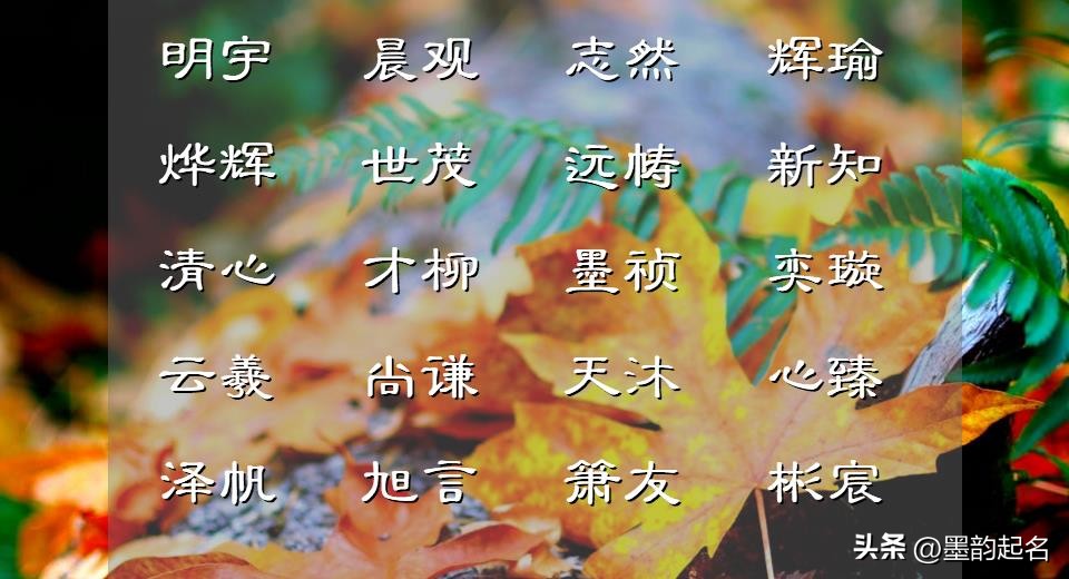 冉字女孩取名_女孩古诗词名字_富有文化底蕴的女孩名字