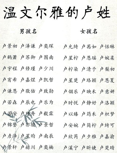 卢姓男孩属龙名字推荐_属龙男孩名字好听_卢姓男孩取名属龙女孩