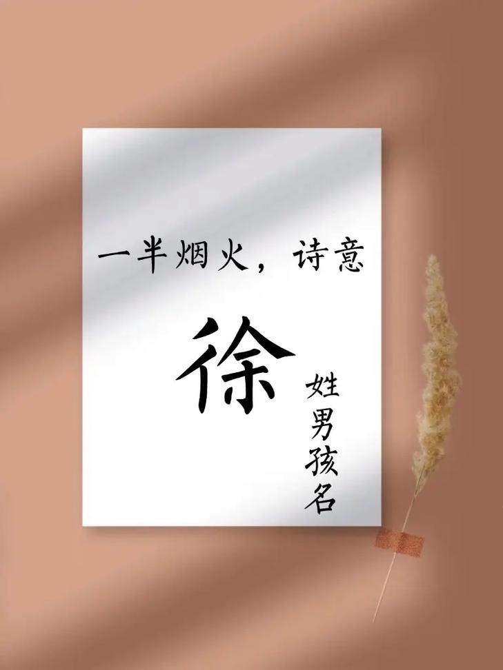 徐姓男孩起名原则_徐姓男孩取名牛宝宝缺火_徐姓男孩好听名字推荐