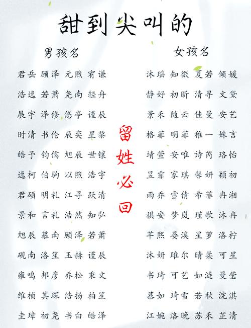 卢姓八字起名_八字五行平衡取名_卢姓男孩取名属龙女孩