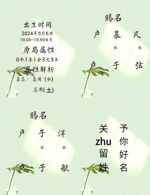 卢姓男孩取名属龙女孩_卢姓男孩名字推荐_卢姓男孩起名技巧