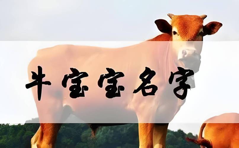 取名字 字 女孩_ 谢咏谈女孩子取什么名字有福气 _谢咏取名大师 女孩子聪明有福气的名字 