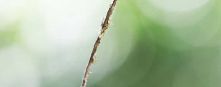 女性五行缺土含义影响_刘姓缺土女孩取名_女性五行缺土健康问题