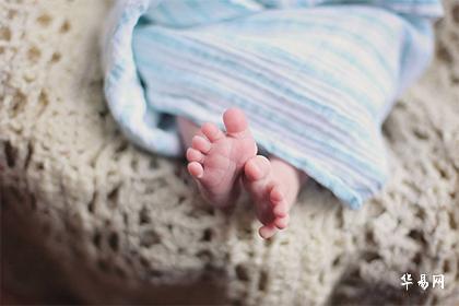 属蛇姓叶的女孩取名宜忌_2025蛇宝宝取名宜用字_2025蛇宝宝取名忌字