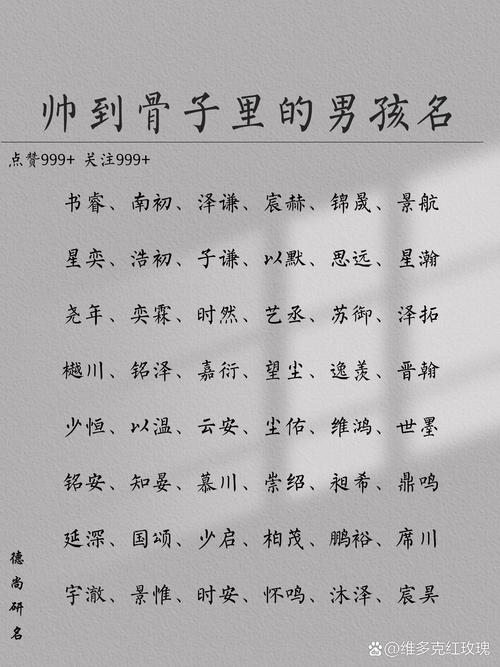 秒取名男孩_好听霸气的男孩名字_男孩阳刚霸气名字