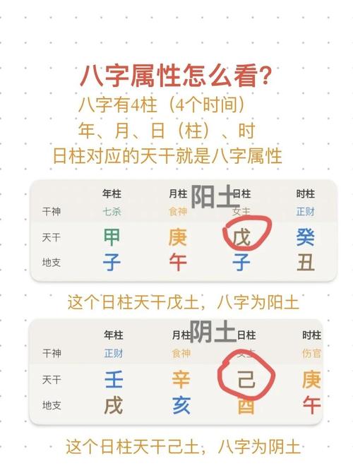生辰八字算命原理_五行属什么取名字好男孩_八字排盘免费测算