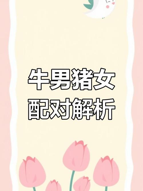 牛和猪属相合不合_属相牛与猪配对婚姻_姓牛的女孩取名属猪好吗